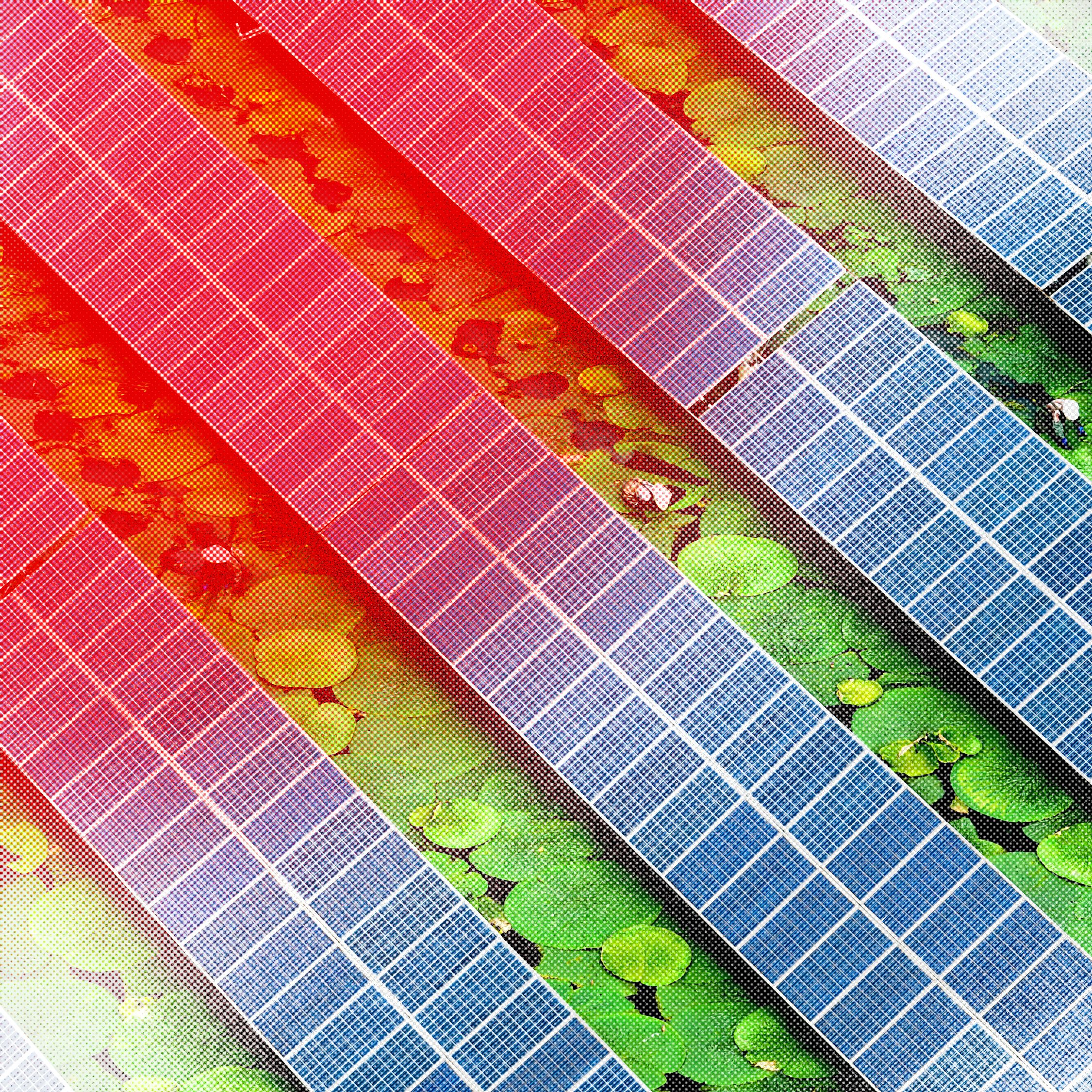 Africa Is Buying a Record Number of Chinese Solar Panels